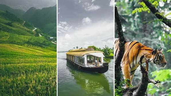 Kerala Holiday Tour – Munnar, Thekkady & Alappuzha
